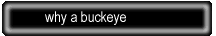 why a buckeye