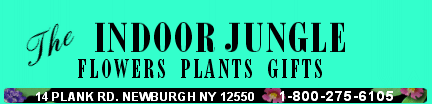Indoor Jungle 1-800-275-6105